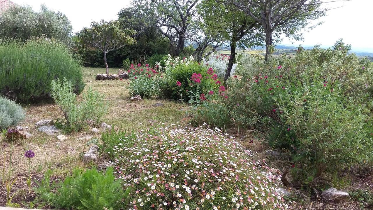 Les Romarins Villa Saint-Jean-de-Minervois Exteriör bild