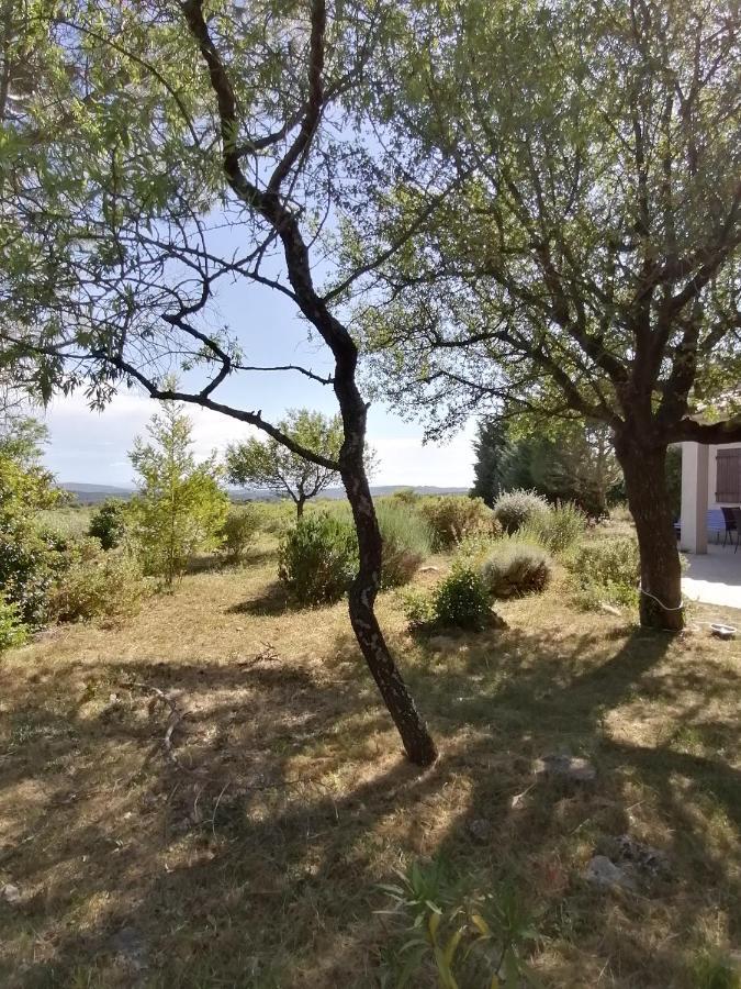 Les Romarins Villa Saint-Jean-de-Minervois Exteriör bild